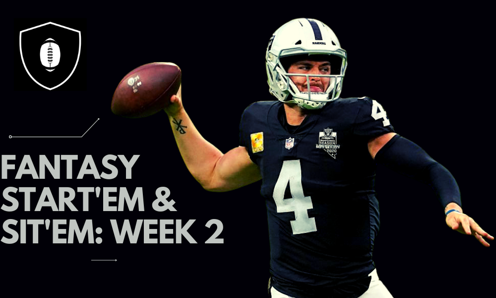 NFL Start'em Sit'em Week 2